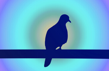 Silhouette of a Dove perching on the fence against gradient Blue Radius Background