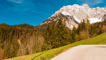 Naklejka premium Alpine spring view at the Wochenbrunner Alm, Ellmau, Wilder Kaiser, Tyrol, Austria