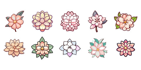 Blooming flower vector set collection graphic clipart design