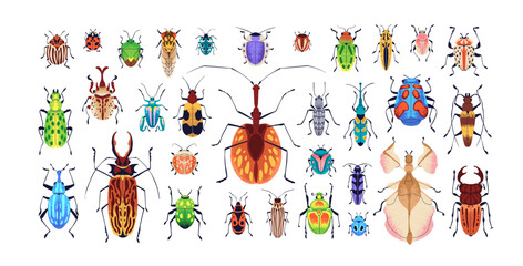 Different bugs set. Insects, summer species. Colorado potato beetle, ladybird, chafer, wasp, mosquito. Little multicolored fauna, nature. Colored flat vector illustrations isolated on white background - obrazy, fototapety, plakaty