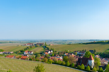 Obraz premium Landschaft mit Weinbergen und Ortsbild von Leinsweiler, im Hintergrund die Oberrheinische Tiefebene. Region Pfalz im Bundesland Rheinland-Pfalz in Deutschland