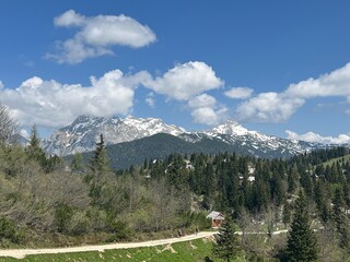 Fototapeta na wymiar Velika planina in Slovenia landscape