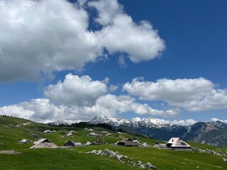Fototapeta na wymiar Velika planina in Slovenia landscape