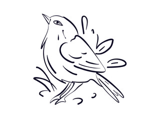 cute little birds doodle or line style on white background vector illustration