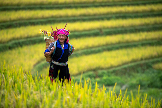 A Hmong Woman On 
Rice fields terraced of Mu Cang Chai, YenBai, Vietnam. 