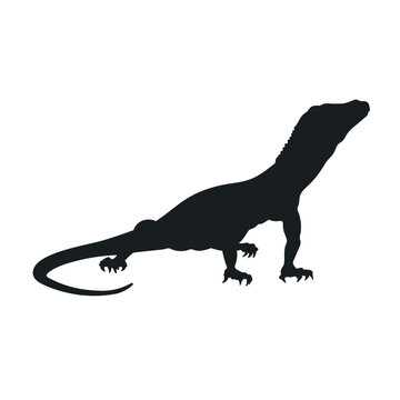 Isolated monitor lizard silhouette. Black drawing of varan. Big reptile image. Desert asian animal