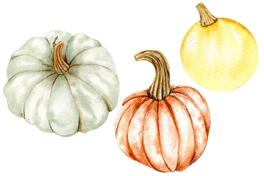 Fall set with pumpkins. For cards, backgrounds. Watercolor illustration for scrapbooking. Perfect for wedding invitation.