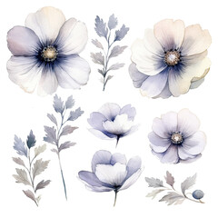 Set of floral watecolor silver and grey. flowers and leaves. Floral poster, invitation floral. Vector arrangements for greeting card or invitation design	