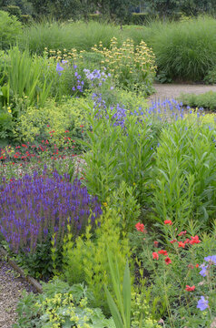 Summer beds with perennials, Alchemilla, Geranium clarkei, Geum, Phlomis and Salvia - june