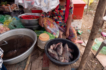 Cambogia, pesci pieni di mosche