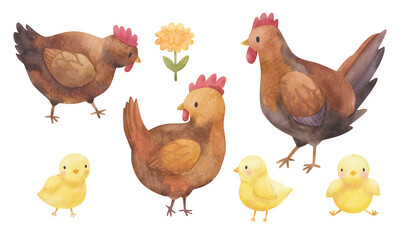 Three watercolor brown hens and three chicken. Children’s illustrations of farm birds. Poultry chickens in the village isolated on a white background.