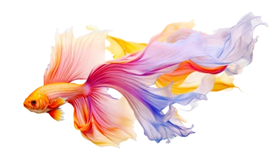 Foto op Canvas Magic goldfish or betta fish. Colorful fighting Siamese fish with big beautiful rainbow silk tail isolated on transparent png background. Amazing exotic tropical fish ai generated illustration © Ron Dale