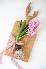 Fototapeta na wymiar Pink hyacinth with a bulb decorated with a bow on a light background