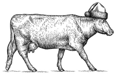 Vintage engraving isolated cow set dressed christmas illustration ink santa costume sketch. Farm bull background beef animal silhouette new year hat art. Black and white hand drawn image