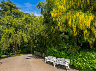 Mainau Island © Michael Knöbl