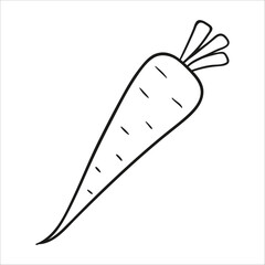 carrot. Hand drawn vector illustration
