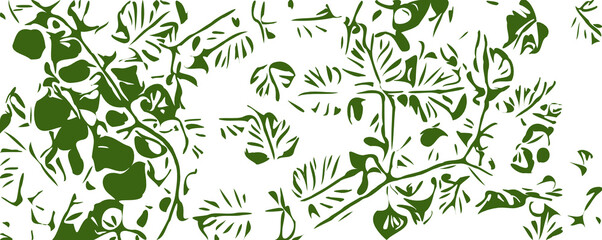 colour sketch of a leaf for a pamphlet design with transparent background