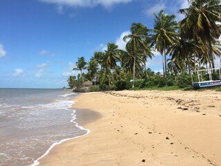 Praia do Patacho Alagoas Brazil
