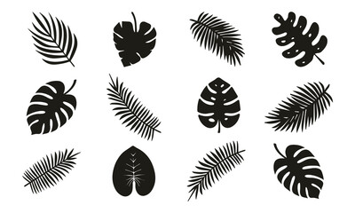 Fototapeta na wymiar vector Set of palm leaves silhouettes isolated on white background. vector illustration