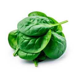 Spinach isolated in white background
