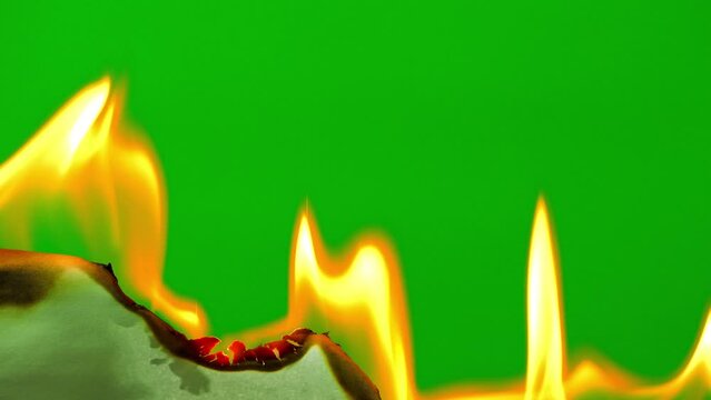 Fire flame burning paper on green screen background