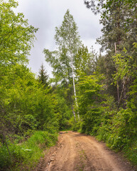 Dirty road through the mountain.