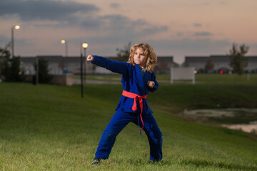 Fototapeta premium Kid boy practicing martial arts outdoor. Sport karate kids. Little boy wearing kimono doing karate in park. Child training martial arts. Little martial arts fighter. Martial arts for kids.