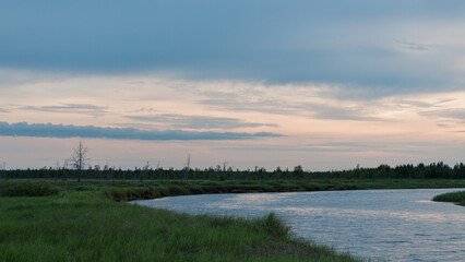 Marsh and trees at summer night by the Luirojoki river in Finnish Lapland