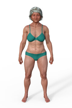 A 3D illustration of a female body with mesomorph body type
