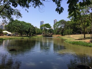 Fototapeta na wymiar Parque Lago das Rosas