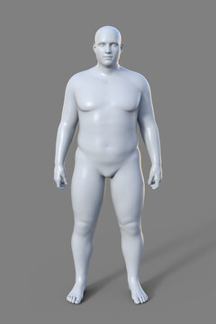 A 3D illustration of a male body with an endomorph body type