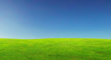 beautiful and perfect green meadow with a blue sky