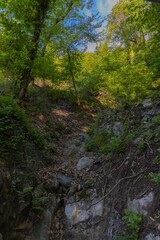 Fototapeta na wymiar off-piste trail in a walk in the Como mountains in the province of Menaggio