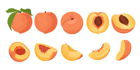 Collection of peach slices and whole fruits. Flat vector peach from different sides.