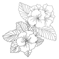 primrose bouquet lineart illustration