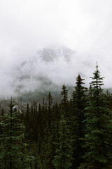 fog in the mountains