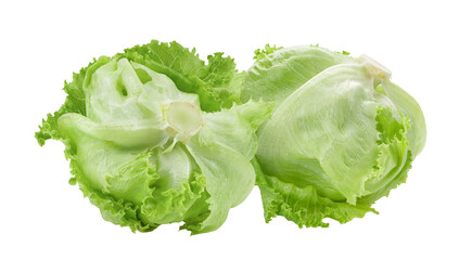 iceberg cabbage on transparent png