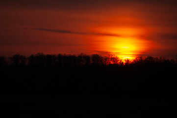 Naklejka premium pejzaż z naturą ożywioną