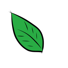 green leaf icon