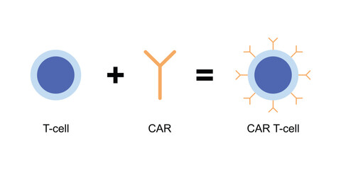 Scientific Designing of CAR T-cell Therapy. Vector Illustration.