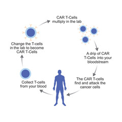 Scientific Designing of CAR T-cell Therapy. Vector Illustration.