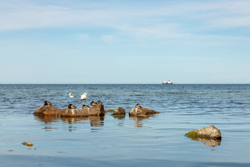 Steine am Strand der Ostsee vor Baabe auf Rügen - Schiffe mit LNG Gaslieferung im Hintergrund