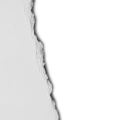 ripped paper on white background and have copy space for design in your work.