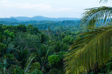 Fototapeta na wymiar landscape of the mountains in the jungle