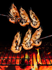 Grilled shrimps or prawns on the grill