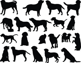 Set of Labrador Silhouette, Dog Bundle Wild Animal, Pet
