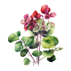 Watercolor botanical illustration on transparent background. Generative AI