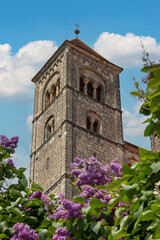 Fototapeta premium St. Servatii Church (Stiftskirche St. Servatii) Quedlinburg Saxony-Anhalt Germany