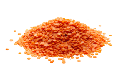 Pile red lentils isolated on white background, side view 