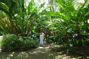 Leute im Botanischen Garten in Cairns